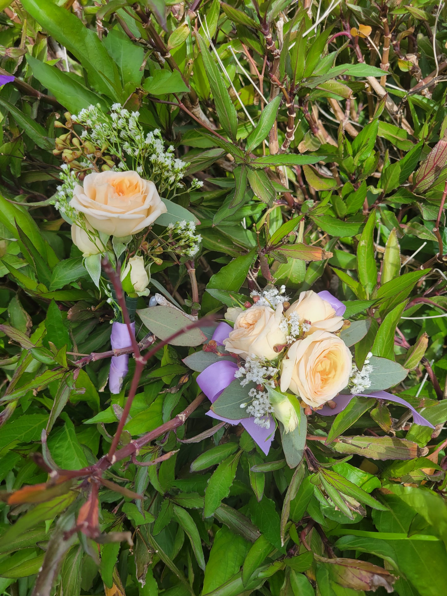 Corsage